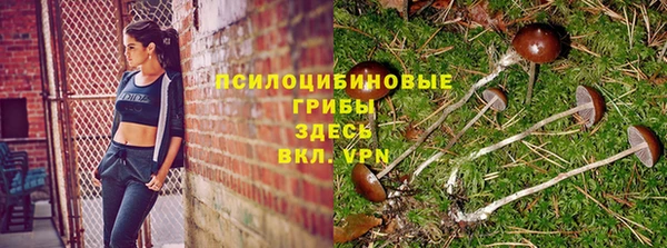 альфа пвп Арсеньев