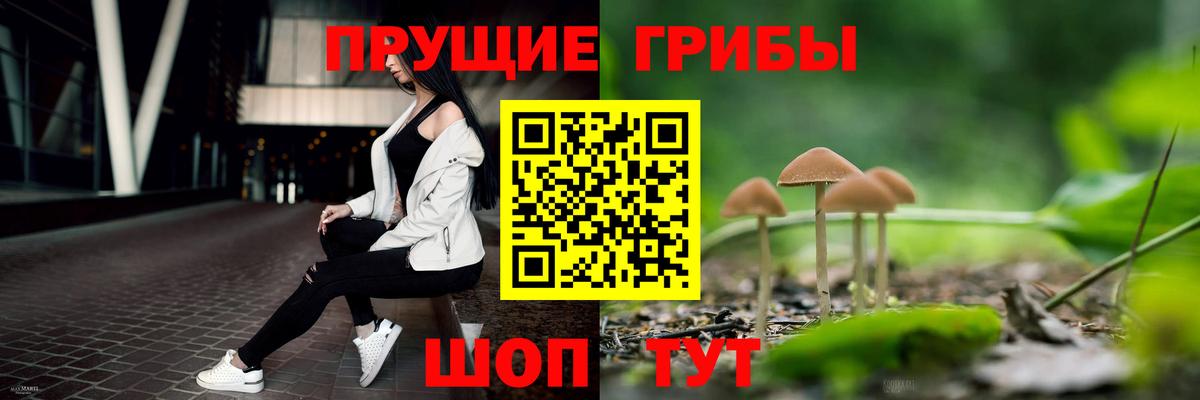 Узловая  Псилоцибиновые грибы мицелий  Вход с VPN  Галлюциногенные грибы Psilocybine cubensis 