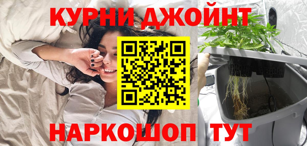Конопля индика  Марихуана конопля  Каннабис White Widow  Узловая  Вход с VPN 